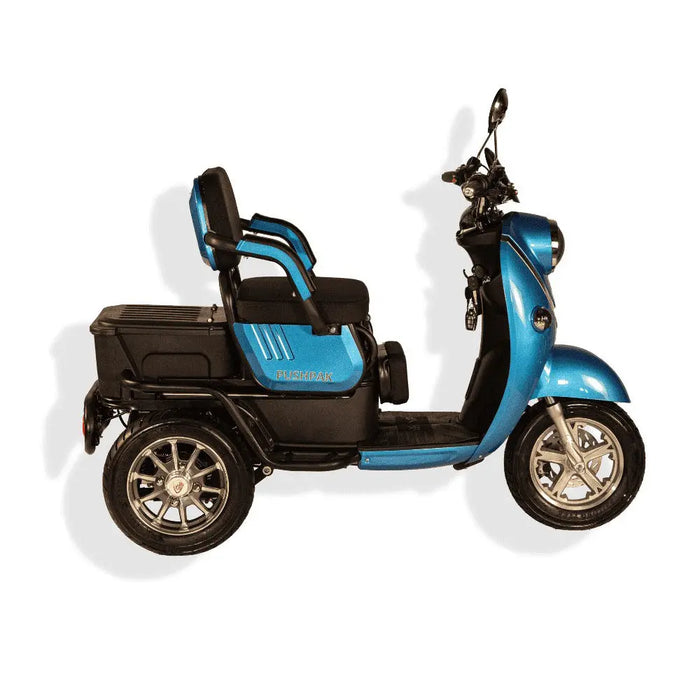 Pushpak 1000 2-Person Electric Trike Scooter Pushpak