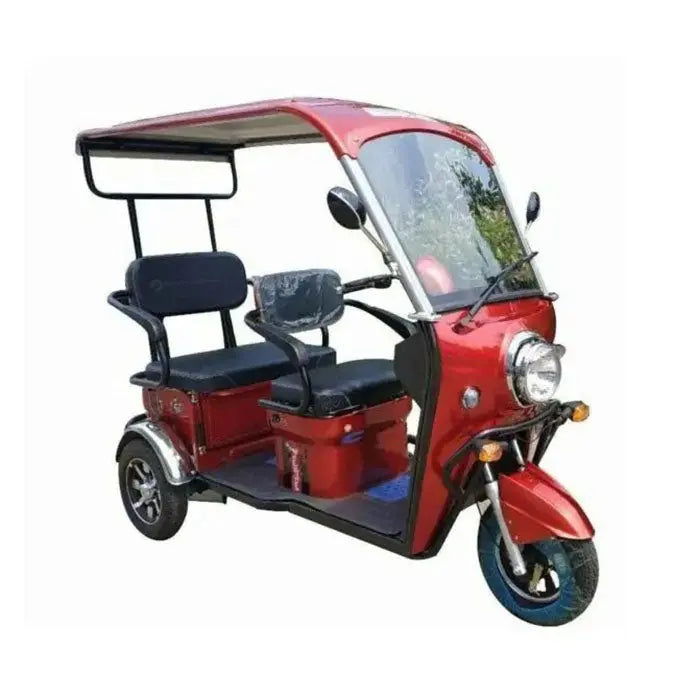 Pushpak 5000 2-Person Electric Trike Scooter Pushpak