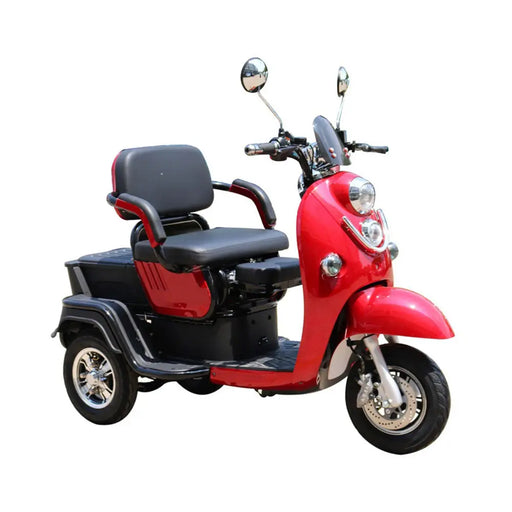 Pushpak 1000 2-Person Electric Trike Scooter Pushpak