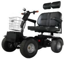 Electric Mobility Scooters